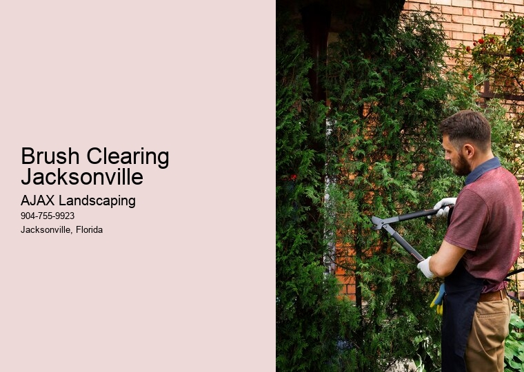Brush Clearing  Jacksonville