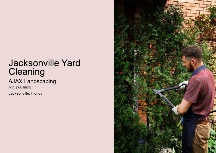 Jacksonville Yard Cleaning 